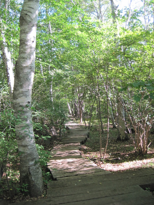f0236260_14194632.jpg