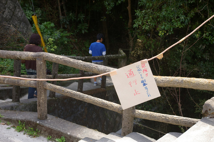 ヒヤリ、台風１５号で六国見山森林公園のスギが倒木_c0014967_21315427.jpg