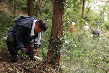 六国見山森林公園のヒノキ伐採の様子（撮影：島村国治氏）_c0014967_21564320.jpg