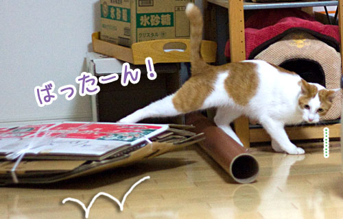 a0119470_0165413.jpg