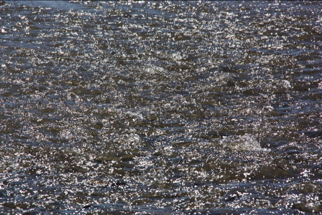 a0166378_1235878.jpg
