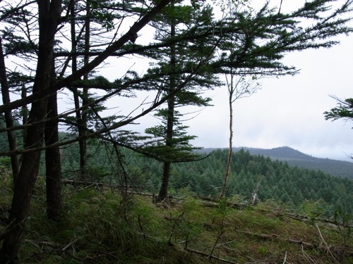 d0219980_38163.jpg