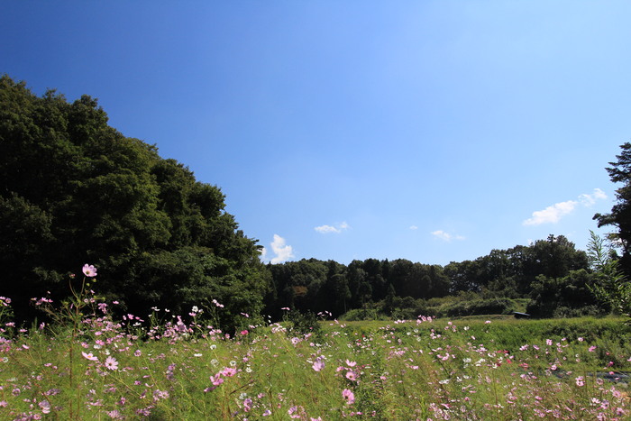 e0024081_15323052.jpg
