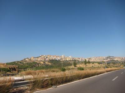 d0175883_734943.jpg