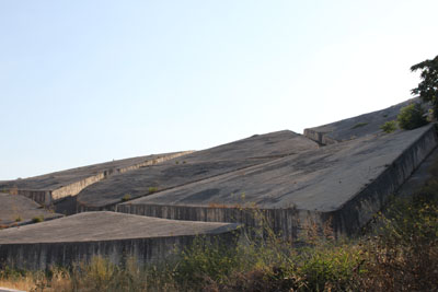 d0175883_7351618.jpg