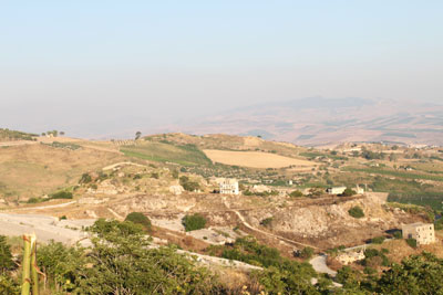 d0175883_7474510.jpg