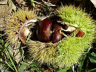 f0169885_33542100.jpg