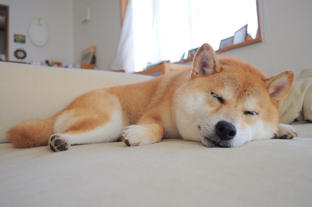 可愛い?_a0126590_22263738.jpg
