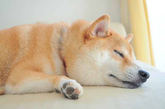 可愛い?_a0126590_22272198.jpg