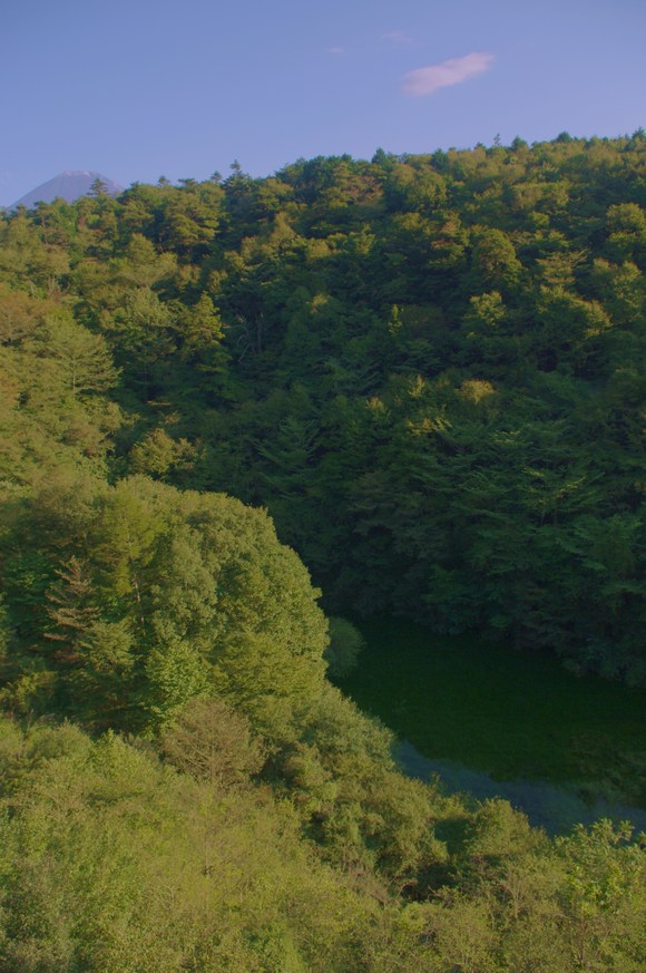 f0208490_22215928.jpg