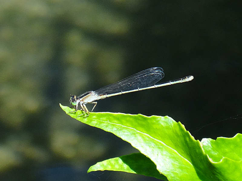 f0204094_22174568.jpg