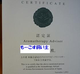 a0154801_8224653.jpg