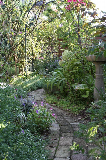 a0123003_6504666.jpg