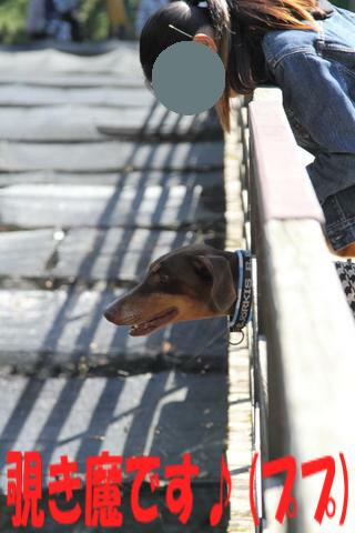 e0100007_2150114.jpg