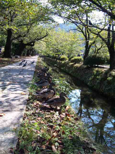 c0114110_1628547.jpg