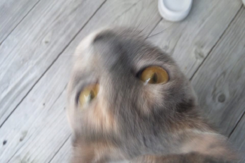 e0123920_22385864.jpg