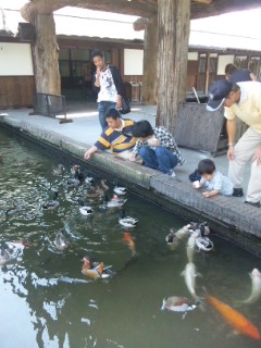 神戸花鳥園_f0087620_1219570.jpg