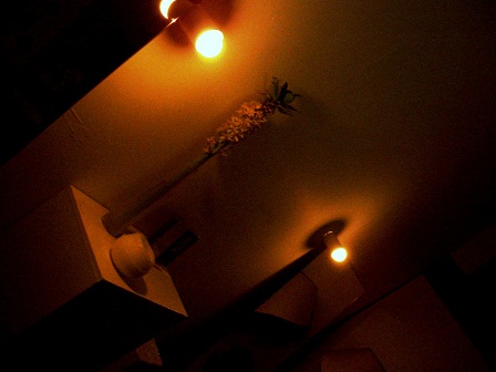 d0233024_1345777.jpg