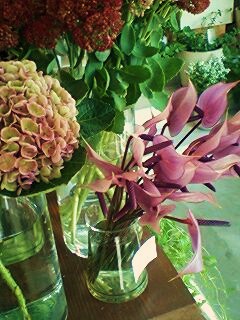 阪急六甲の新しいお花屋さん Vestita ヴェスティタ さん Natural Sweets Cafe Matoca