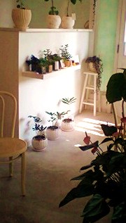 阪急六甲の新しいお花屋さん Vestita ヴェスティタ さん Natural Sweets Cafe Matoca