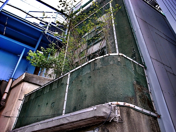 e0016732_547397.jpg