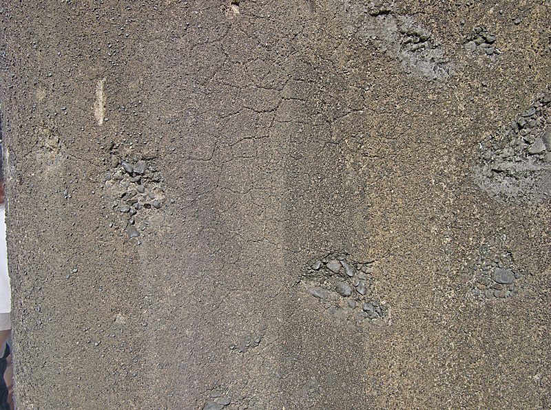 e0016732_5475616.jpg