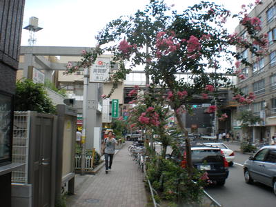 b0042238_3113045.jpg