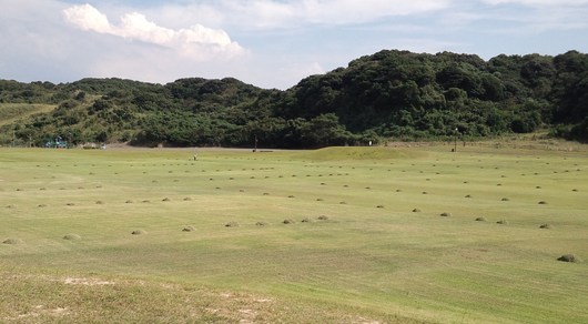 d0154538_20193095.jpg