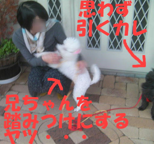 c0117239_1036593.jpg