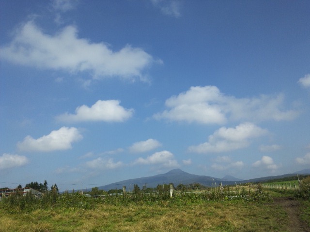 e0145441_20453945.jpg