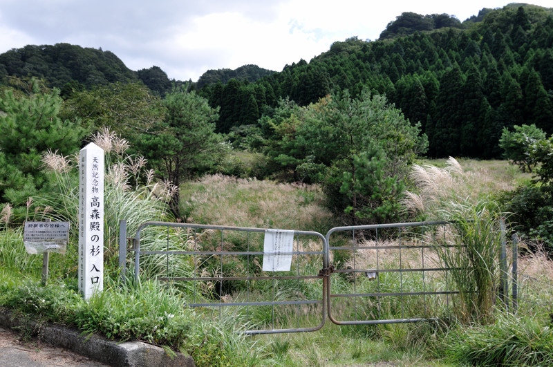 b0190445_15472247.jpg