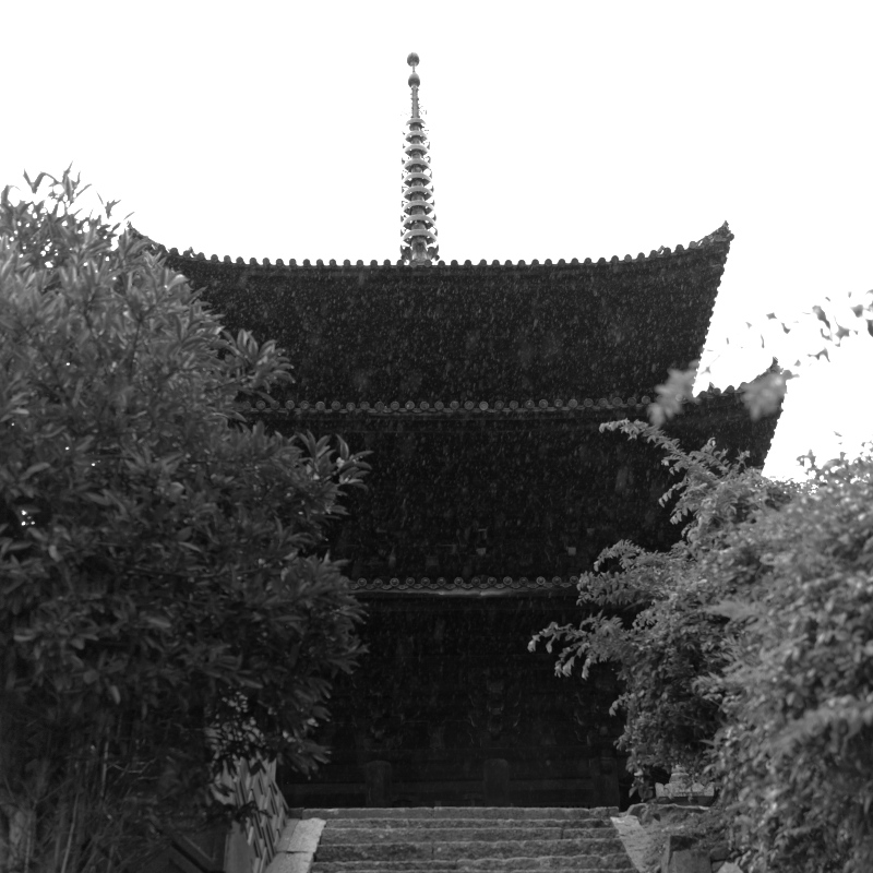d0001745_5212167.jpg