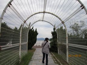f0234053_57988.jpg