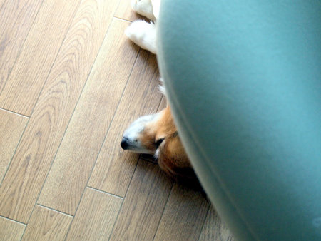 c0170957_1325217.jpg