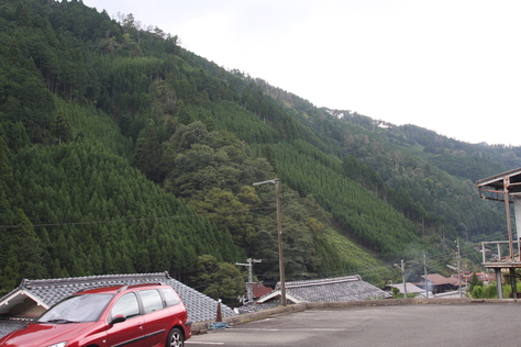杉の研究 京都北山_a0157159_23485274.jpg