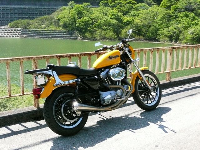 みんなのスポーツスターを見てみよう・・・6 : スポーツスター