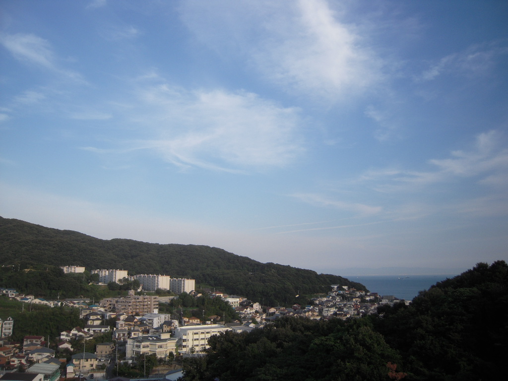 d0083265_2023464.jpg