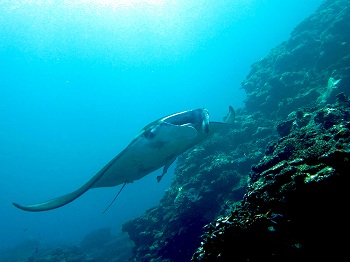 e0096370_2021581.jpg