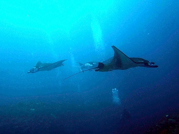 e0096370_20223579.jpg