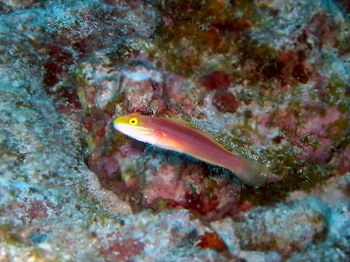 e0096370_20234822.jpg