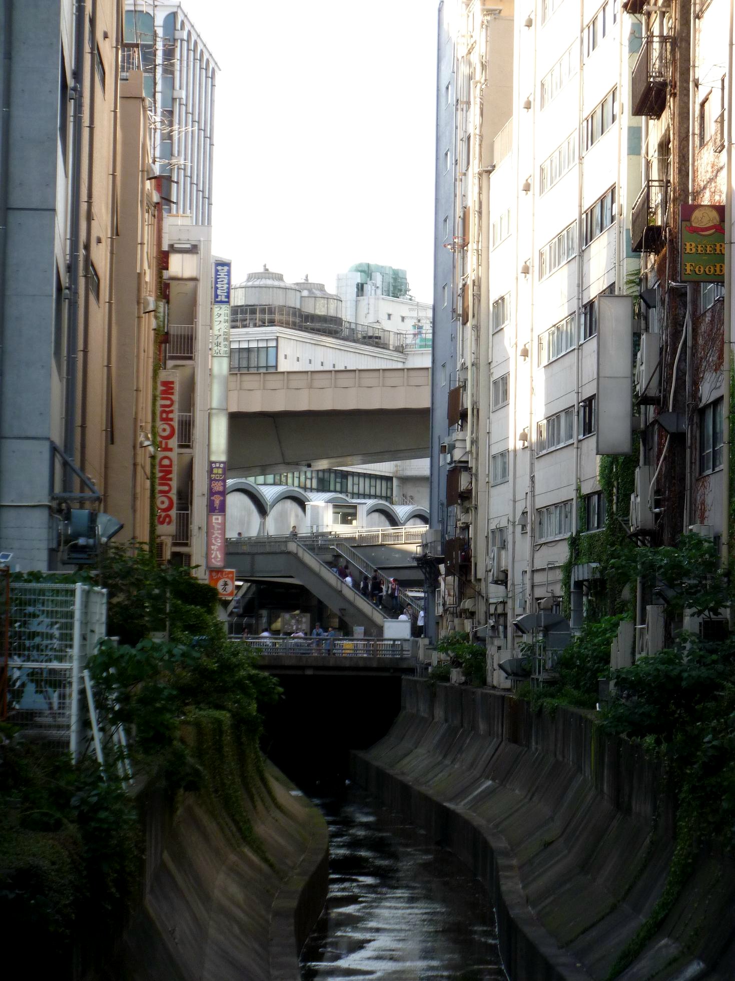 結局 渋谷大勝軒!(^^)V_f0145372_823783.jpg