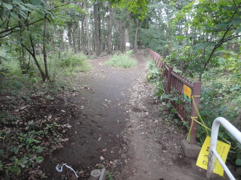 f0059673_13163564.jpg