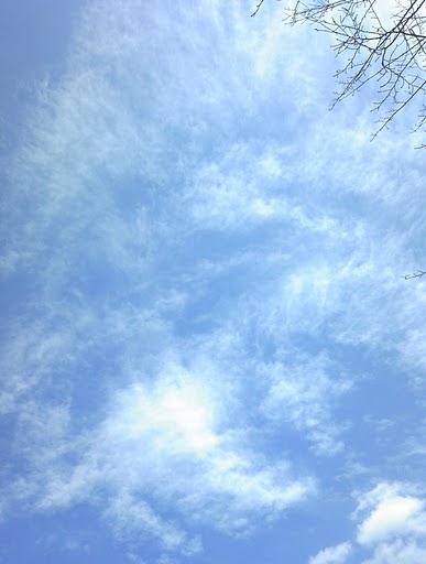e0159875_1329442.jpg