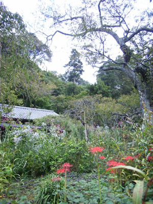 d0124878_916363.jpg