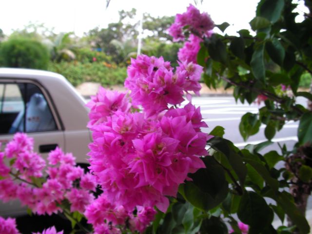 a0133388_17235758.jpg