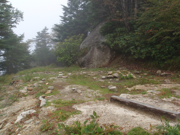 d0034291_54709.jpg