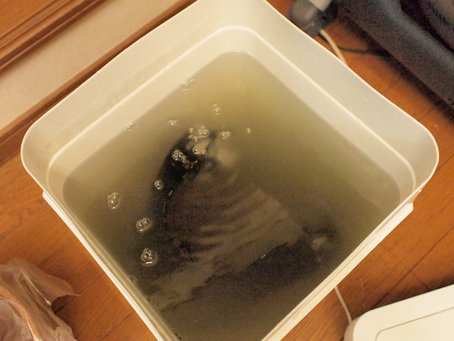 d0050693_1294873.jpg