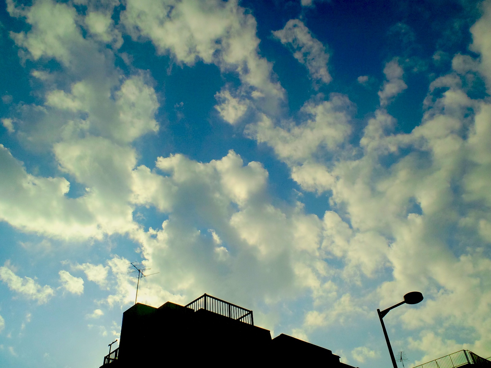 d0135694_015359.jpg