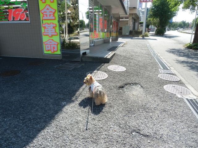 f0130894_20273030.jpg