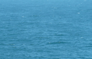 f0166694_14514999.jpg